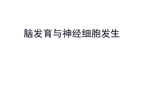 神经发生.ppt