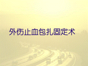外伤止血包扎固定术.ppt