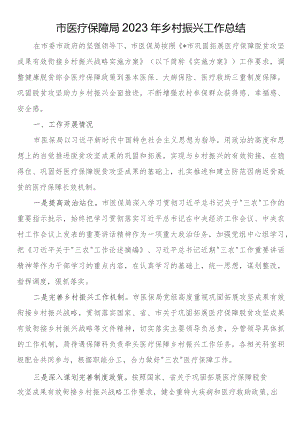 市医疗保障局2023年乡村振兴工作总结.docx