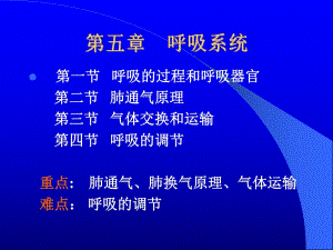 第五章呼吸系统[生理].ppt