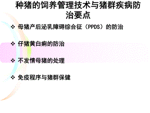 种猪的饲养管理技术与猪群疾病防治要点.ppt