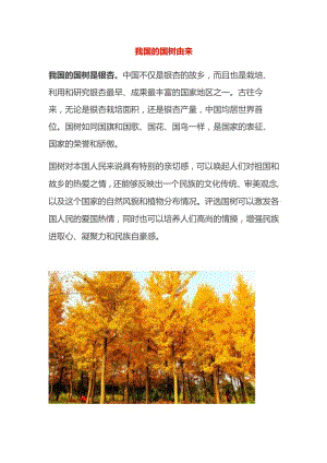 我国的国树由来.docx