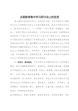 主题教育集中学习研讨会上的发言.docx