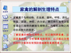家禽的早期胚胎发育.ppt