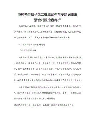 市局领导班子第二批主题教育专题民主生活会对照检查剖析.docx