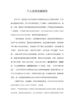个人述责述廉报告.docx
