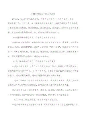 乡镇乡村振兴干部工作总结.docx