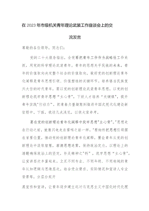 在2023年市级机关青年理论武装工作座谈会上的交流发言范文.docx