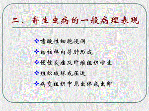 寄生虫病 病理学教研室【PPT】 .ppt