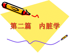 动物解剖学消化系统.ppt