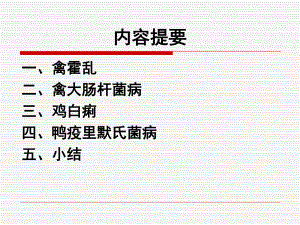 家禽常见细菌性传染病的诊断与防治.ppt