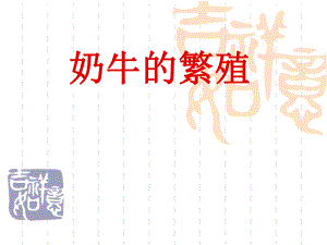 奶牛的繁殖.ppt