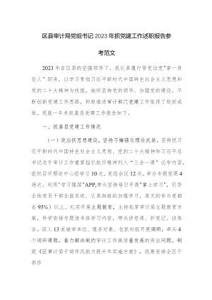 区县审计局党组书记2023年抓党建工作述职报告参考范文.docx