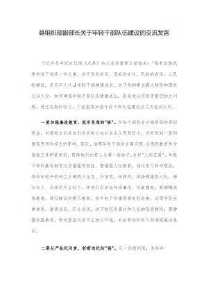 县组织部副部长关于年轻干部队伍建设的交流发言.docx