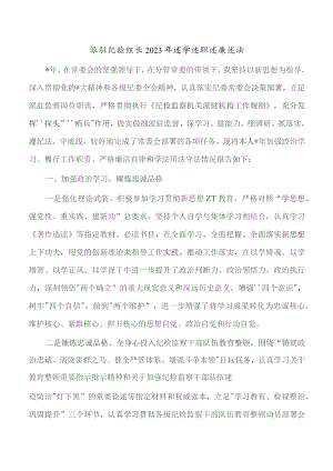 派驻纪检组长2023年述学述职述廉述法.docx