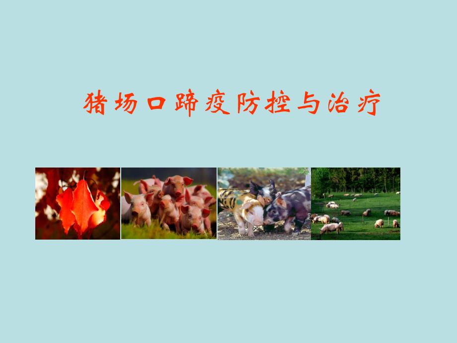 猪场口蹄疫防控与治疗.ppt_第1页