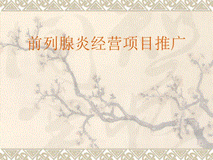 前列腺疾病经营项目推广.ppt
