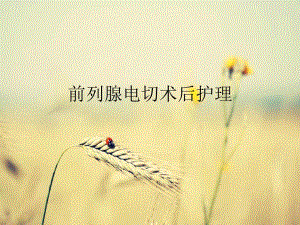 前列腺电切术后护..ppt