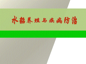 水貂养殖与疾病防治.ppt