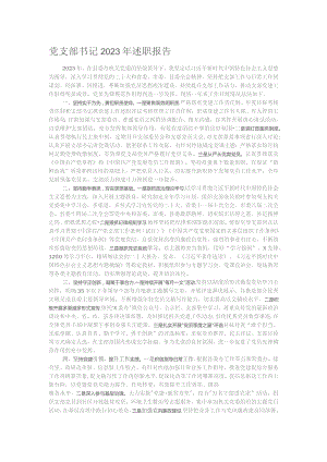 党支部书记2023年述职报告.docx