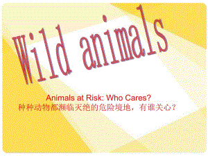 野生动物.ppt