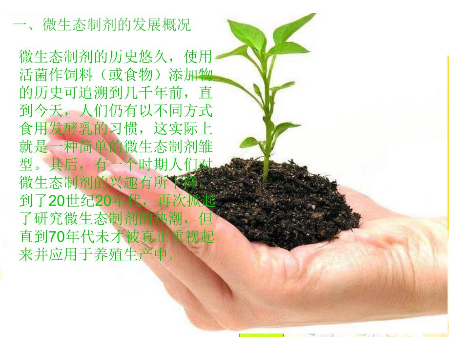 微生态制剂在畜禽养殖中的功效及其注意事项.ppt_第3页