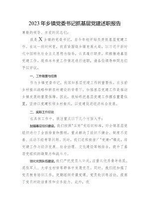 2023年乡镇党委书记抓基层党建述职报告.docx