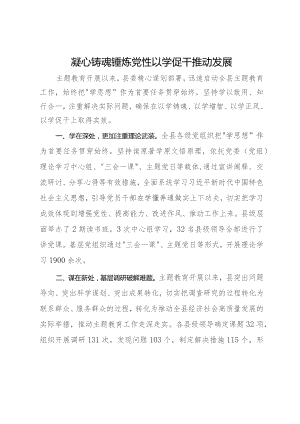 某县委2023年主题教育做法.docx