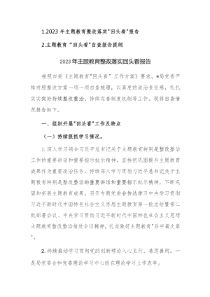 2023年主题教育整改落实“回头看”报告范文2篇.docx