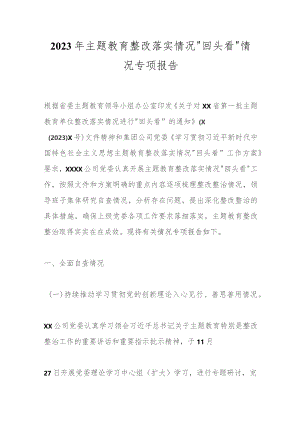 2023年主题教育整改落实情况“回头看”情况专项报告.docx