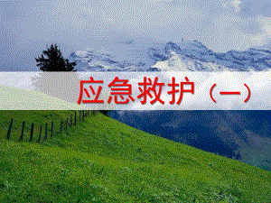 止血包扎.ppt