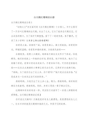 白天鹅红珊瑚读后感.docx
