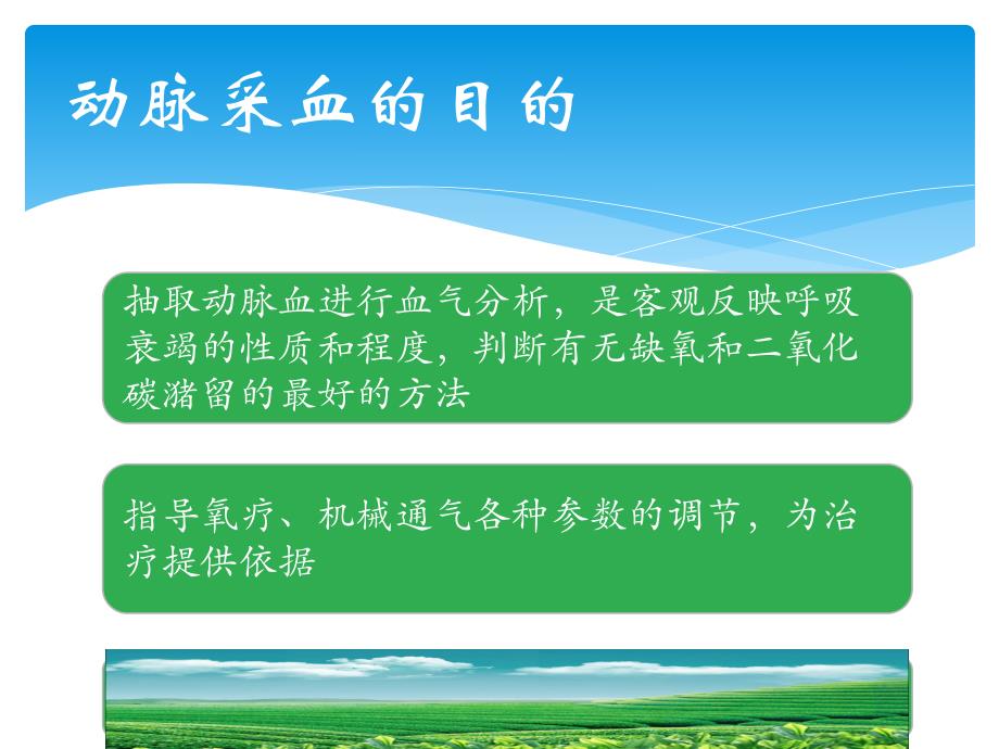 动脉采血技术.ppt_第3页