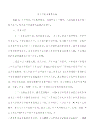 区公平竞争审查总结.docx