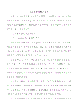 红十字抓党建工作述职.docx