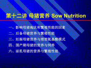 母猪营养.ppt