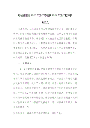 纪检监察组2023年工作总结及2024年工作打算参考范文.docx