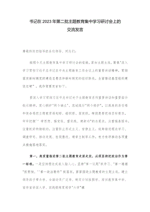 书记在2023年第二批主题教育集中学习研讨会上的交流发言.docx