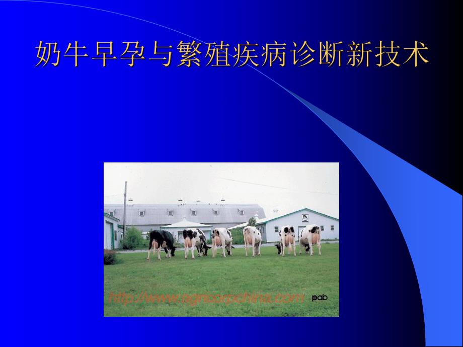 奶牛B超奶牛早孕与繁殖疾病诊断新技术.ppt_第1页