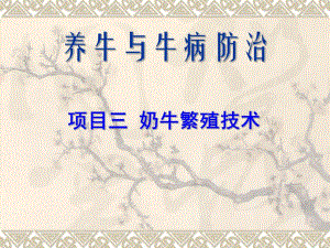 奶牛繁殖技术.ppt