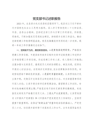 党支部书记2023年述职报告.docx