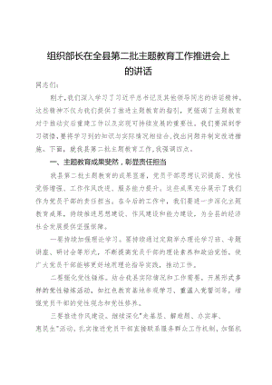 组织部长在全县第二批主题教育工作推进会上的讲话.docx