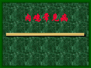 肉鸡常见病.ppt