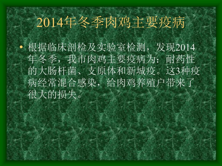 肉鸡常见病.ppt_第2页