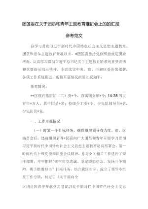 团区委在关于团员和青年主题教育推进会上的的汇报参考范文.docx