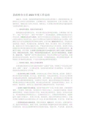 县政府办主任2023年度工作总结.docx