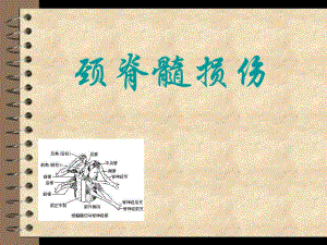 颈脊髓损伤.ppt