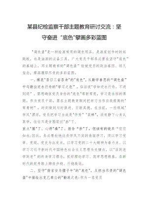 某县纪检监察干部主题教育研讨交流：坚守奋进“底色”擘画多彩蓝图.docx