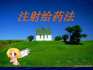 给药法(各种注射).ppt.ppt