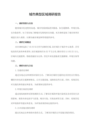 城市典型区域调研报告.docx